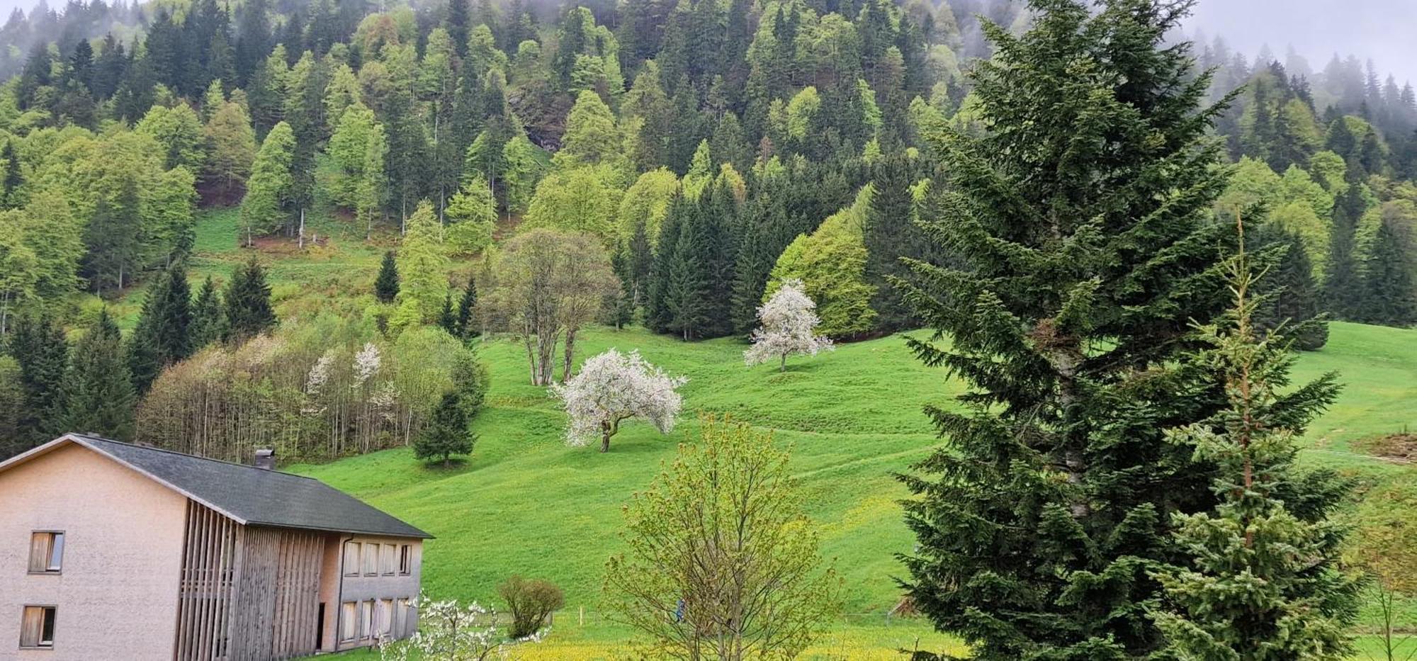 Hotel Haus Luise Bad Hindelang Exterior foto